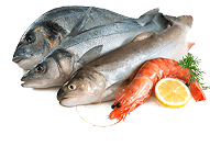 C-500 Antioxidant Protect Dietary Supplement